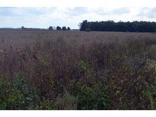 Property photo 89 - EHLE FARMS AUCTION - 118+/- ACRES IN 9 TRACTS IN ALLEN COUNTY, INDIANA
